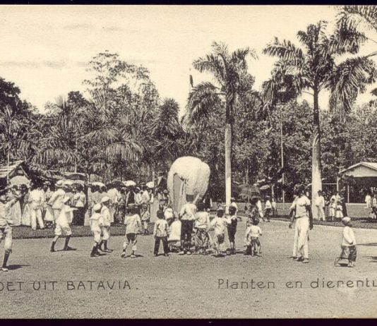 Kebun Binatang Pernah di Tengah Pusat Kota Jakarta