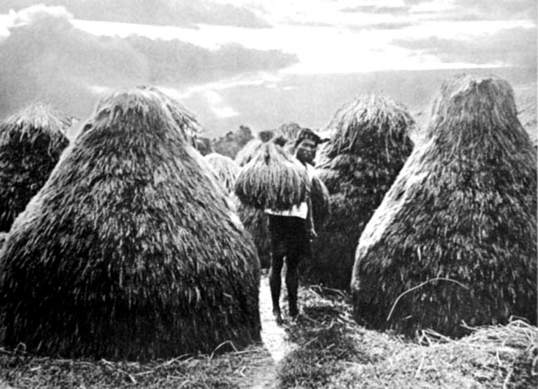 H. Abdul Hadi: Pemimpin Protes Petani di Desa Pasarean 1935