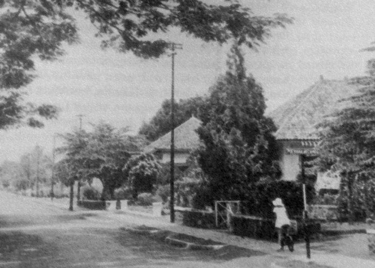 Menteng: Dari Kota Taman Sampai Kebun Binatang Politik dan Ekonomi